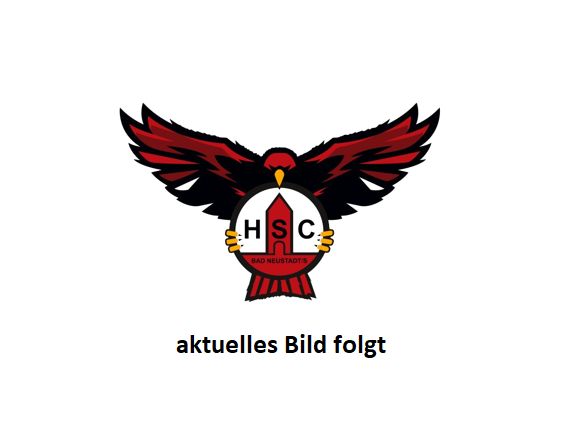 Bild-folgt