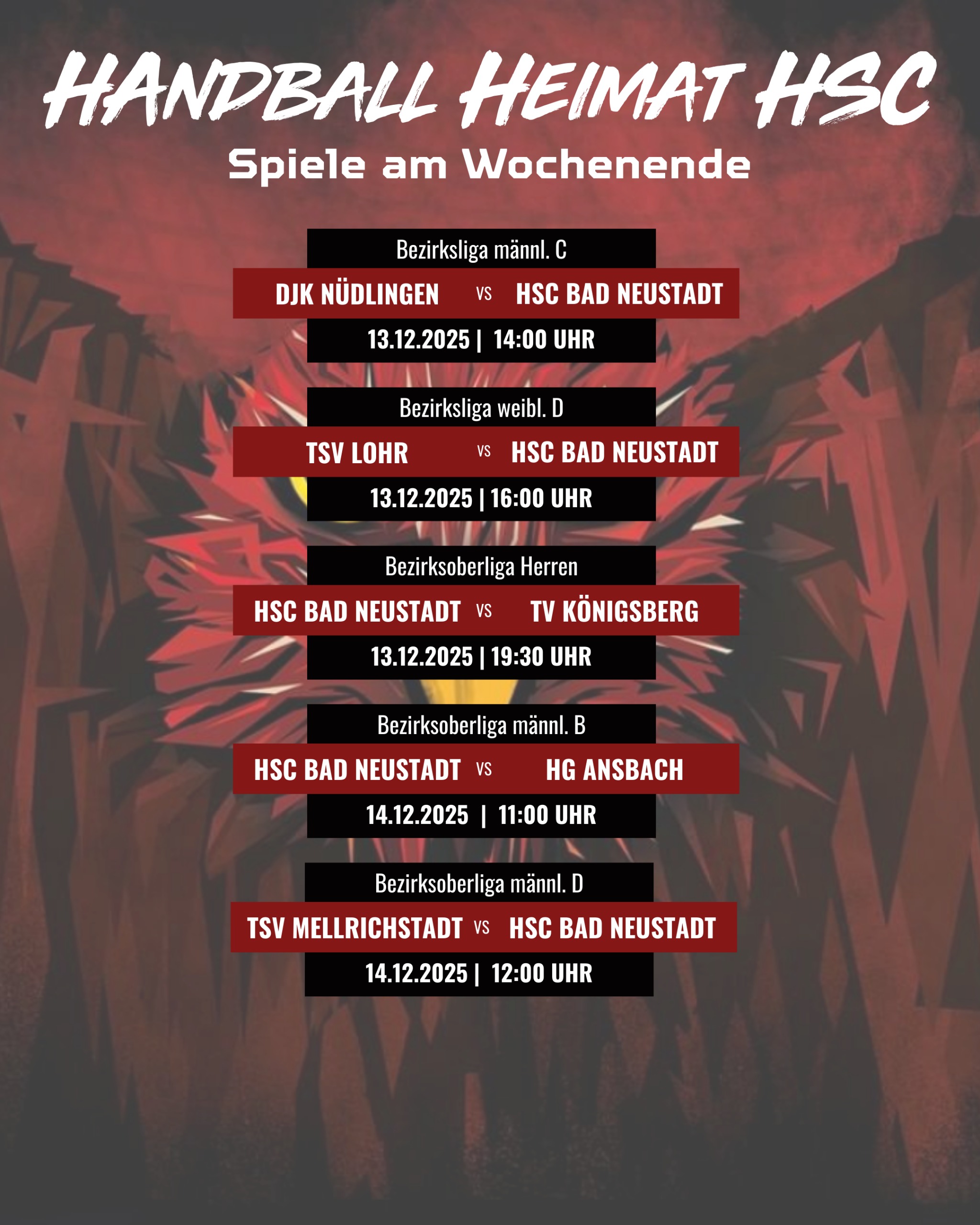 HSC Handball am Wochenende